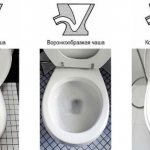 Чаша классификация