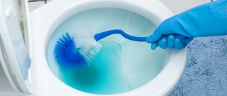 Cleaning the toilet with a brush