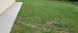 Photo marking the drainage trench with fishing line
