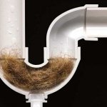 Where do small things that fall down the drain get stuck?