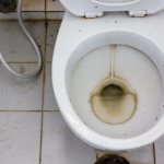 dirty toilet