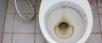 dirty toilet