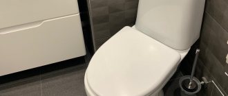 How to choose the right toilet: the best guide to characteristics and a list of popular models