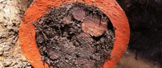 Sewer clog