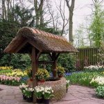 Колодец во дворе