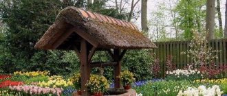 Well in the yard