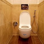 Wall-mounted hygienic shower in a small toilet