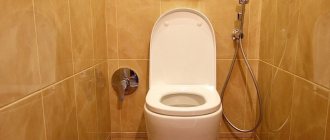 Wall-mounted hygienic shower in a small toilet