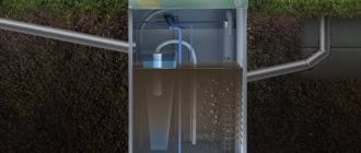 Features of the purifier, the subtleties of its operation and maintenance with your own hands