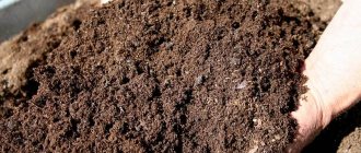 Правильно приготовленный компост
