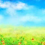 septic tank with installation