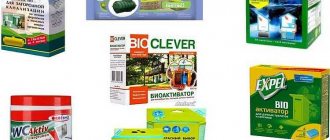 TOP 10 Best Bacteria for Septic Tanks and Cesspools