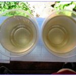 Well water smells like hydrogen sulfide, what should I do?